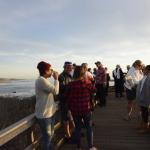 cambria_352 (November 03, 2018)